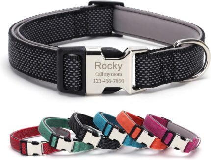 Personalized Dog Collars with Name and Phone (Black, M 3/4″ (13~20″))