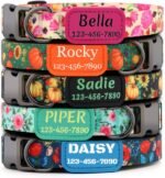 Personalized Floral Dog Collar with Name and Phone Number