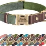 Personalized PU Leather Dog Collars,Quick Release Buckle,Green,M