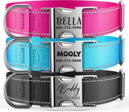 Personalized Reflective Dog Collar with Engraved ID Tag