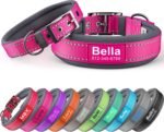 Personalized Reflective Dog Collar with Name & Phone Number