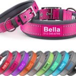 Personalized Reflective Dog Collar with Name & Phone Number