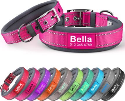 Personalized Reflective Dog Collar with Name & Phone Number