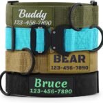 Personalized Tactical Dog Collar Custom with Name and Phone Number