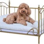 Pet Bed, Dog Bed with Metal Frame and Detached White Velvet Cushion with 2 Pillow for Small Dog