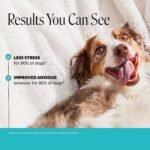 Pet Honesty Vet Recommended Dog Calming Chews with Ashwagandha, 90 Count - Image 2