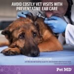 Pet MD Veterinary Tris Flush Cat & Dog Ear Cleaner - Dog Ear Flush - 12oz - Image 2