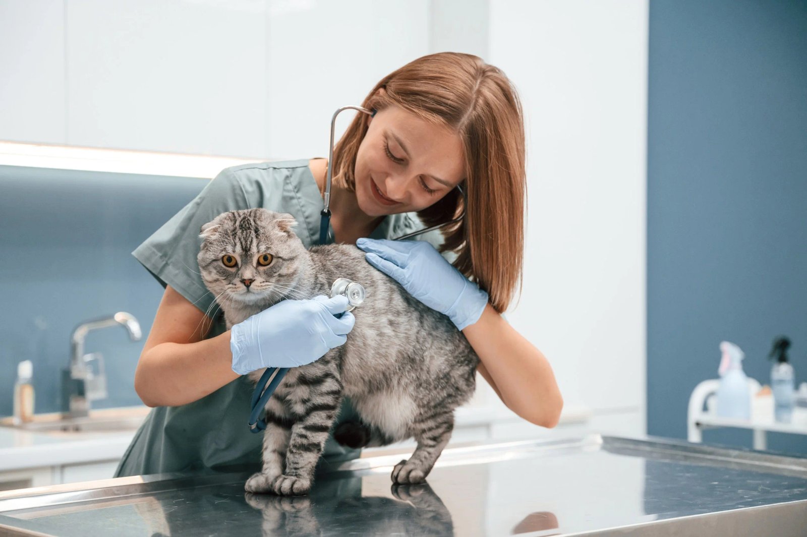 Pet Spending Is Dropping, and Veterinarians May Need to Rethink Their Business