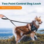 PetBonus Two Point Control Dog Leash, No Tangle Training Walking Leashes - Image 2