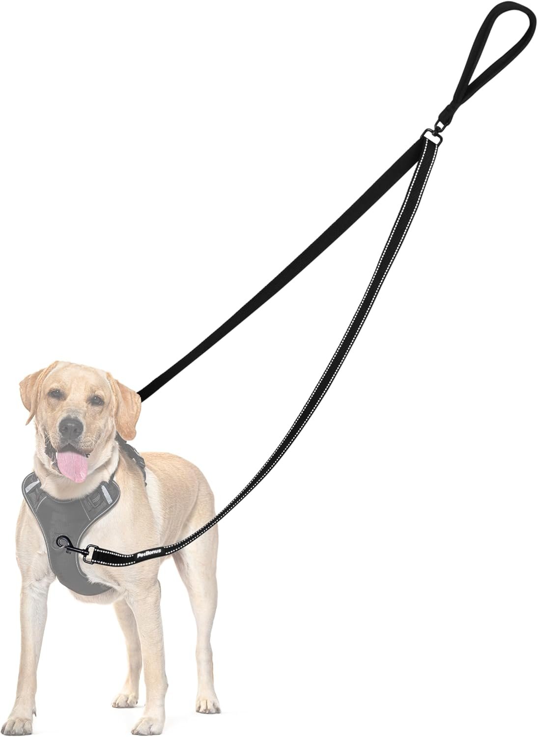 PetBonus Two Point Control Dog Leash, No Tangle Training Walking Leashes PetBonus Two Point Control Dog Leash, No Tangle Training Walking Leashes