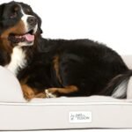 PetFusion Extra Large Dog Bed w/ Solid 4″ Memory Foam, Waterproof Liner, & YKK Premium Zippers. [Brown, 44x34x10″ ), X-Large (44×34″), Sandstone