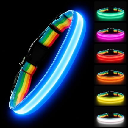 PetIsay Premium LED Dog Collar for Night Walking, USB Rechargeable(Medium)