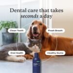PetLab Co. Dental Formula for Dogs & Cats, Water Additive, 8 fl oz - Image 2