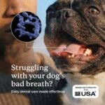 PetLab Co. ProBright Dental Powder for Small Dogs - Image 2