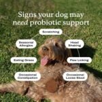 PetLab Co. Probiotic Chews for Dogs, 30 Soft Chews, Pork - Image 2