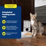 PetSafe Analog 2 Meal Pet Feeder, Dog & Cat, 3 Cup/16 oz, Tamper-Resistant - Image 2