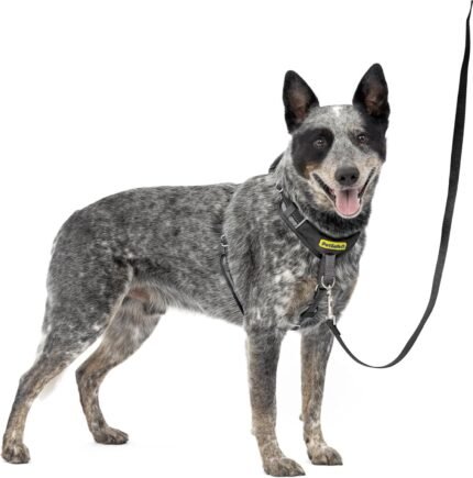 PetSafe Easy Walk Comfort No Pull Dog Harness, Black, Medium