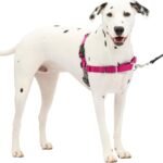 PetSafe Easy Walk Harness, No Pull Dog Harness, Raspberry, Medium/Large