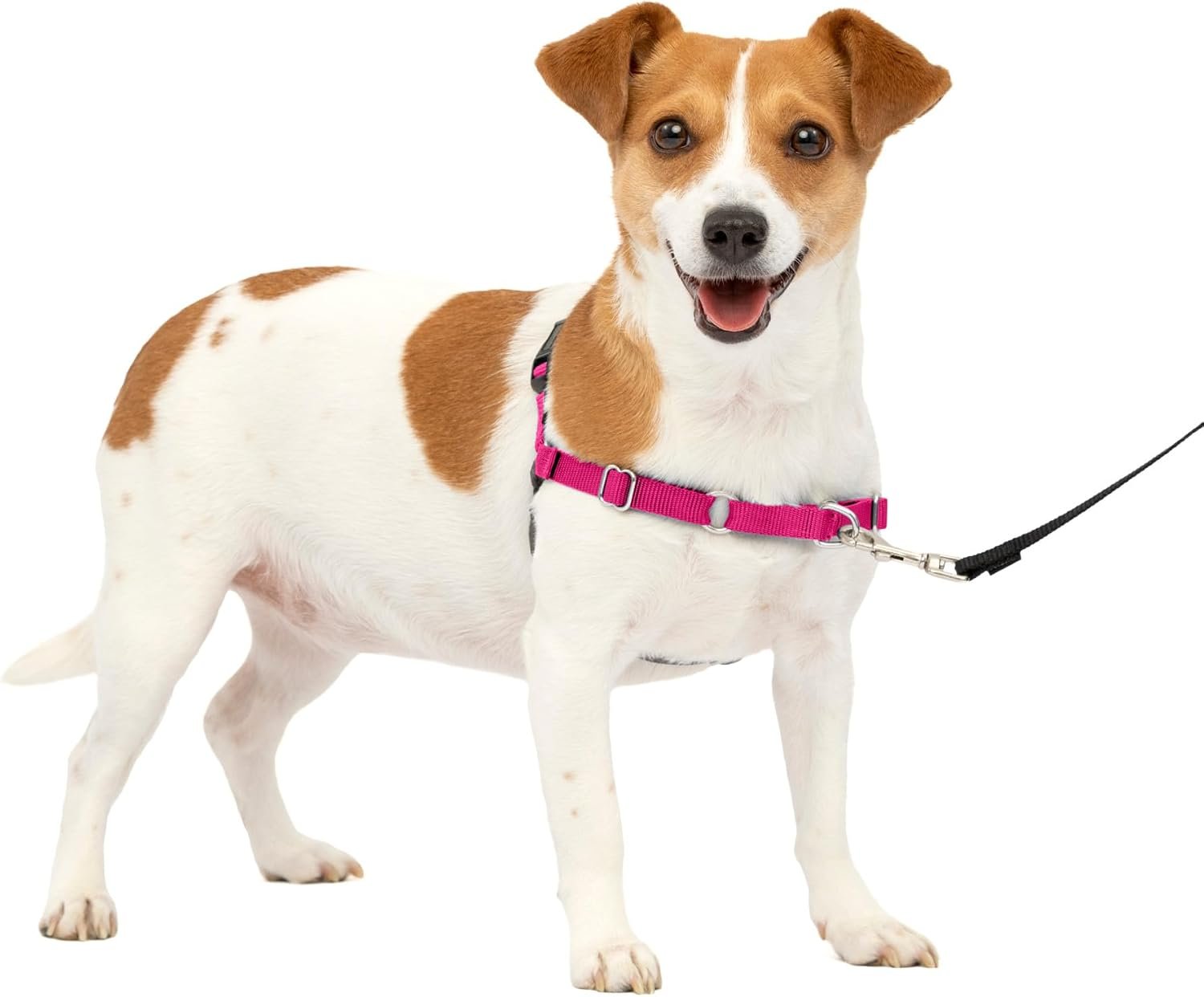 PetSafe Easy Walk Harness, No Pull Dog Harness, Raspberry, Small PetSafe Easy Walk Harness, No Pull Dog Harness, Raspberry, Small