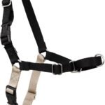 PetSafe Easy Walk Harness for Dogs – Pull-Free Walks – Patented Martingale Loop Design – Front Chest Leash Attachment – Adjustable Comfort Straps – Breathable Harness Design – Large, Black/Silver