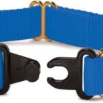 PetSafe KeepSafe Break-Away Dog Collar, Royal Blue, 1 in Wide, Large