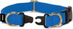 PetSafe KeepSafe Break-Away Dog Collar, Royal Blue, 1 in Wide, Large