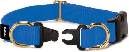 PetSafe KeepSafe Break-Away Dog Collar, Royal Blue, 1 in Wide, Large