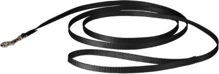 PetSafe Nylon Dog Leash – Strong, Durable, Traditional Style Leash with Easy to Use Bolt Snap – 3/8 in. x 6 ft., Black