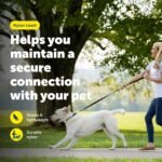 PetSafe Nylon Dog Leash - Strong, Durable, Traditional Style Leash with Easy to Use Bolt Snap - 3/8 in. x 6 ft., Royal Blue - Image 2