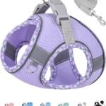 Petank Dog Harness for Small Medium Dogs No Pull, Puppy Harness and Leash Set, Step in Dog Harness for Walking, Running, Training, Small Dog Vest(Purple, S)