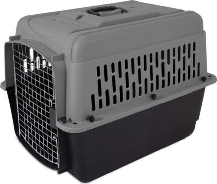 Petmate Aspen Pet Dog, Cat, Chicken Kennel, Medium, Travel Carrier