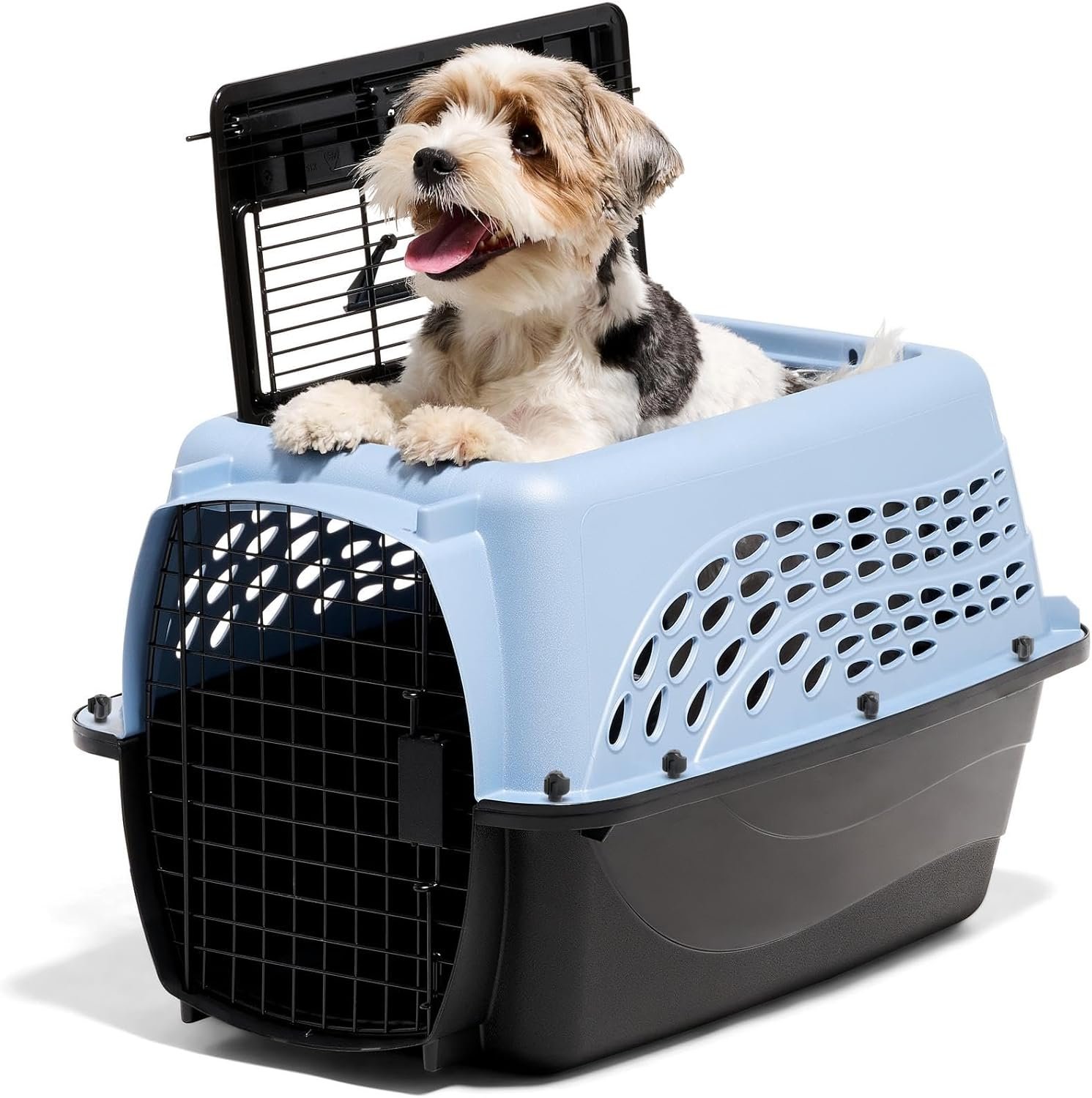 Petmate Two Door Plastic Pet Kennel for Small Dogs and Cats, 24in, Blue Petmate Two Door Plastic Pet Kennel for Small Dogs and Cats, 24in, Blue