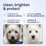 Petpost | Dog Whitening Shampoo with Coconut Oil & Aloe. Brightens White & Light Coats, Moisturizes Skin. Watermelon Scent. 8 oz - Image 2