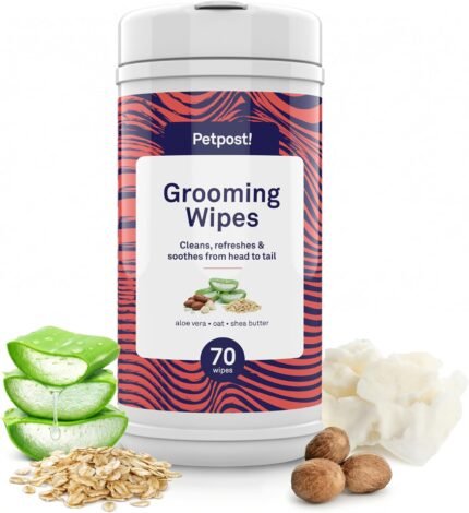 Petpost Large Grooming Wipes for Dogs | 70 Count 5x7” Deodorizing Dog Cleaning Wipes with Coconut Extract & Aloe | Gentle Pet Wipes with Cherry Blossom Scent for Full-Body Grooming