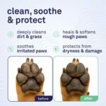 Petpost Large Paw Wipes for Dogs | 70 Count 5x7” Dog Paw Cleaner Wipes with Aloe Vera, Witch Hazel & Cocoa Butter | Gentle Pet Wipes for Paws | Ultra Soft Cotton Pads - Image 2
