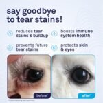 Petpost Tear Stain Remover Soft Chews for Dogs | 90 Count Chicken Flavor Dog Tear Stain Support Supplement | Gentle Eye Care for White Dogs & Light Breeds | Tylosin Free, Made in USA - Image 2