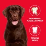 Petrodex Enzymatic Dog Toothpaste, Poultry Flavor, 6.2oz - Image 2