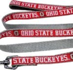 Pets First College Ohio State Buckeyes Pet Leash, Large