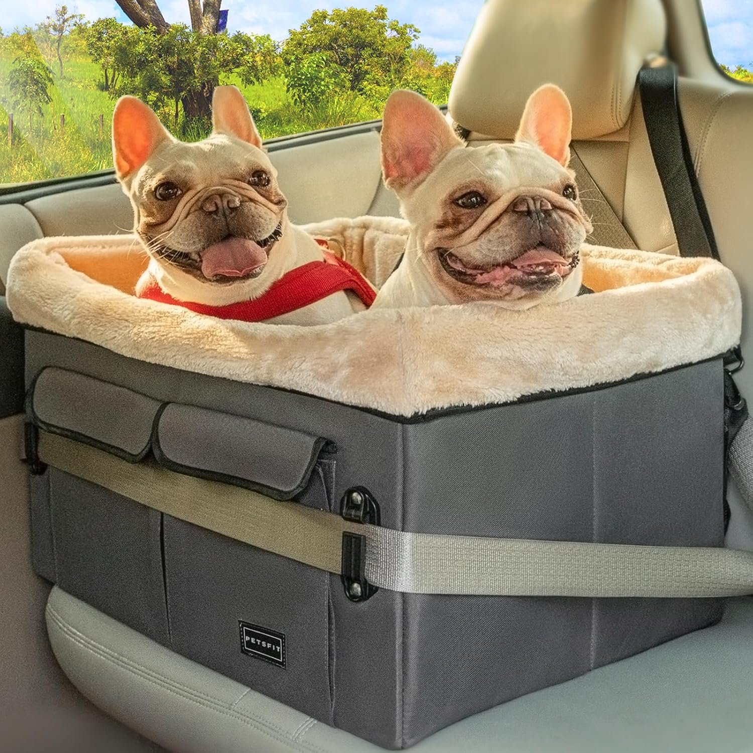 Petsfit Dog Car Seat for Medium Dogs or 2 Small Dogs, Upgraded Dog Booster Car Seat for Front and Back Seats with 2 Safety Leashes (Medium, Deep Grey) Petsfit Dog Car Seat for Medium Dogs or 2 Small Dogs, Upgraded Dog Booster Car Seat for Front and Back Seats with 2 Safety Leashes (Medium, Deep Grey)