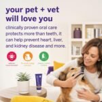 Petsmile VOHC Accepted Pet Toothpaste, London Broil 2.5 Oz, Cats + Dogs - Image 2
