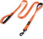 Plutus Pet Double Handle Dog Leash, 6 FT Long, for Medium Large Dogs