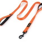 Plutus Pet Double Handle Dog Leash, 6 FT Long, for Medium Large Dogs