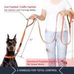 Plutus Pet Double Handle Dog Leash, 6 FT Long, for Medium Large Dogs - Image 2