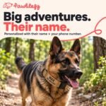 Premium Personalized Dog Collar - Heavy Duty Tactical Dog Collar with Name and Phone Number Dog Collars for Large Dogs, Medium Dogs, Strong and Thick Nylon Material for Male and Female Breed - Image 2