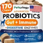 Probiotics for Dogs – 170 Dog Probiotics Chews – Digestive Enzymes Support