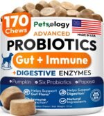 Probiotics for Dogs - 170 Dog Probiotics Chews - Digestive Enzymes Support