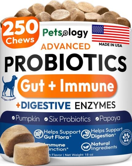 Probiotics for Dogs - 250 Dog Probiotics Chews - Digestive Enzymes Support