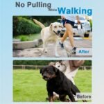 Prong Collar for Dogs, Dog Training Collar for Small Medium Large Dogs - Image 2