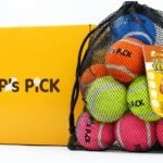 Pup’s Pick Squeaky Tennis Balls – 2.5″ Fun Dog Balls for Fetch, 12-Pack in Bright Colors (Yellow, Blue, Pink, Orange), Includes 1 Reusable Carry Bag