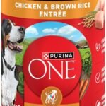 Purina ONE Chicken & Brown Rice Wet Dog Food Classic Ground (12) 13 oz Cans